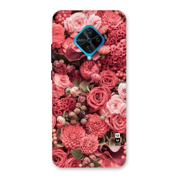 Shades Of Peach Back Case for Vivo S1 Pro