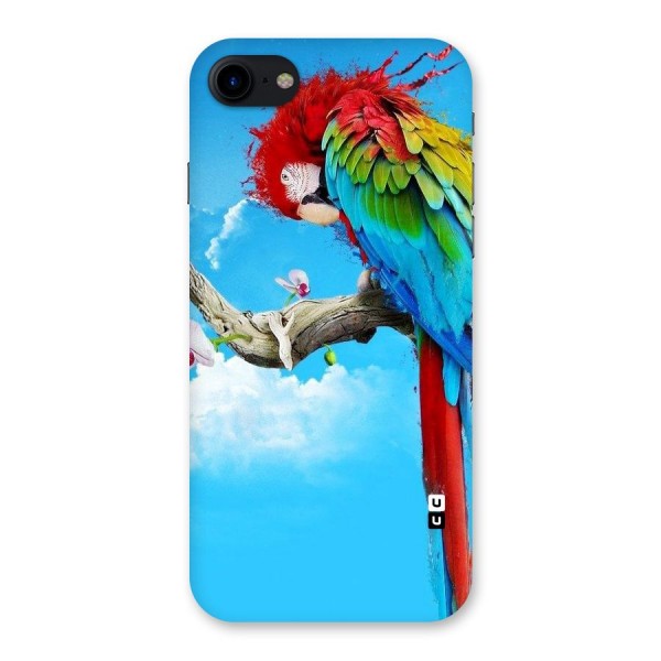 Sky Parrot Back Case for iPhone SE 2020