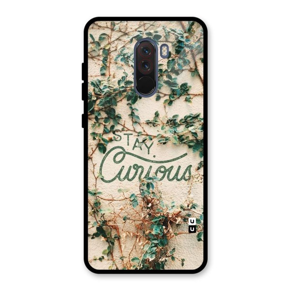 Stay Curious Glass Back Case for Poco F1