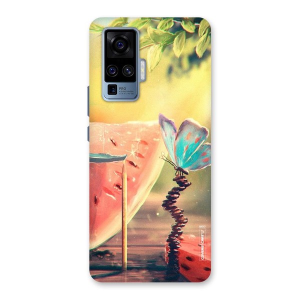 Watermelon Butterfly Back Case for Vivo X50 Pro