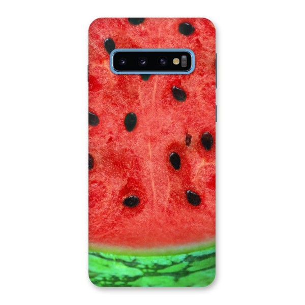 Watermelon Design Back Case for Galaxy S10