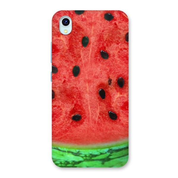 Watermelon Design Back Case for Vivo Y1s