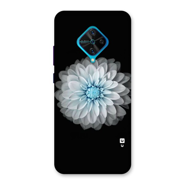 White Bloom Back Case for Vivo S1 Pro