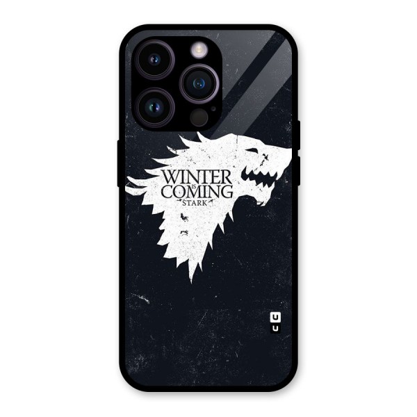 Winter is Coming Stark Glass Back Case for iPhone 14 Pro